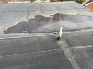 Standing water on top of the roof.